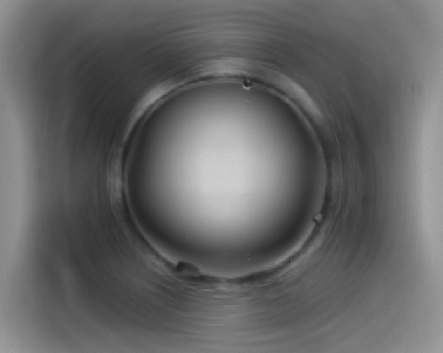 X0000115521226200911061411