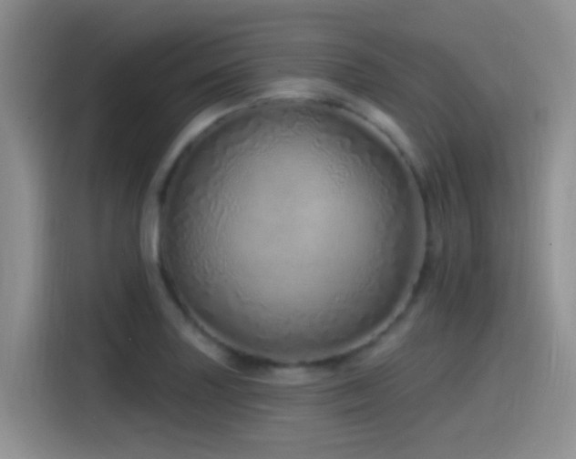 X0000115521227200911061411