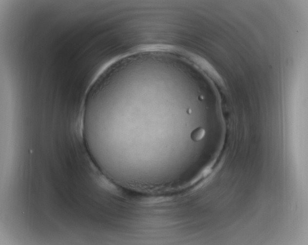 X0000115521228200911061411