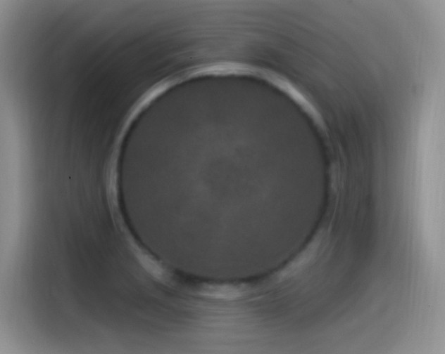 X0000115521229200911061411