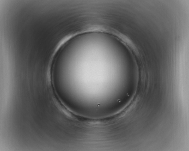 X0000115521230200911061411