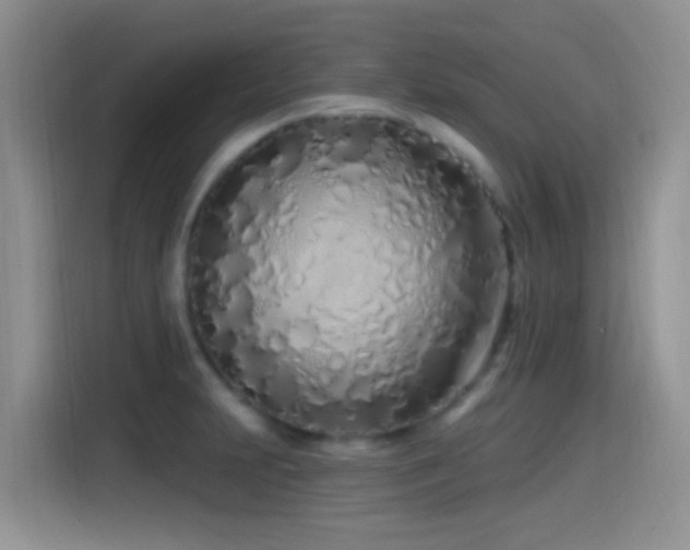 X0000115521231200911061411