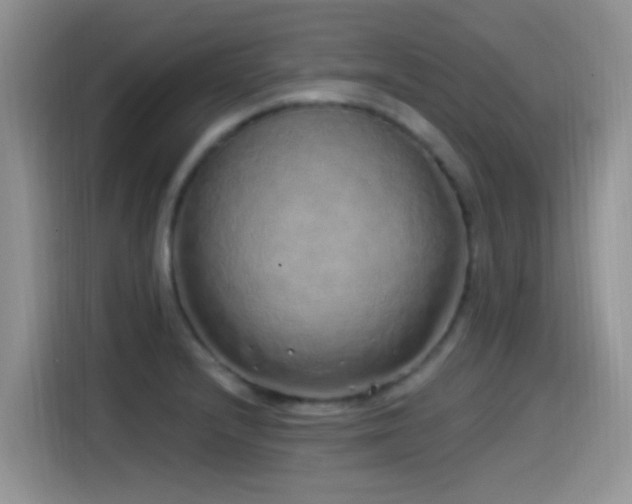 X0000115521232200911061411