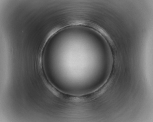 X0000115521234200911061411