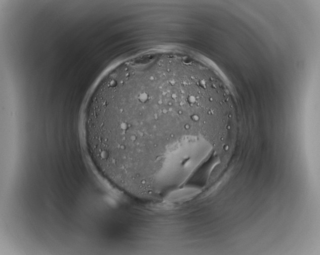 X0000115521235200911061411