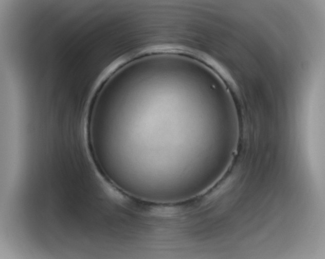 X0000115521237200911061411