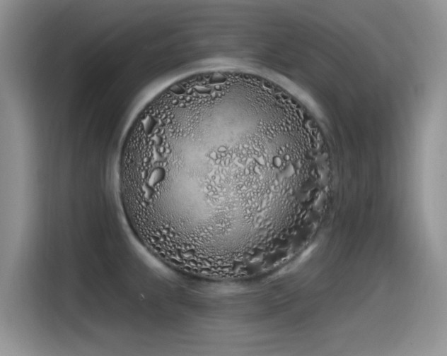 X0000115521239200911061411