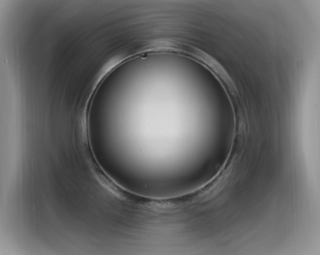 X0000115521242200911061411