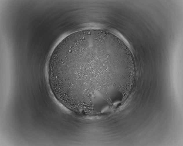 X0000115521243200911061411