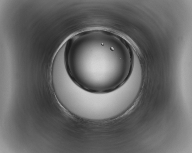 X0000115521244200911061411