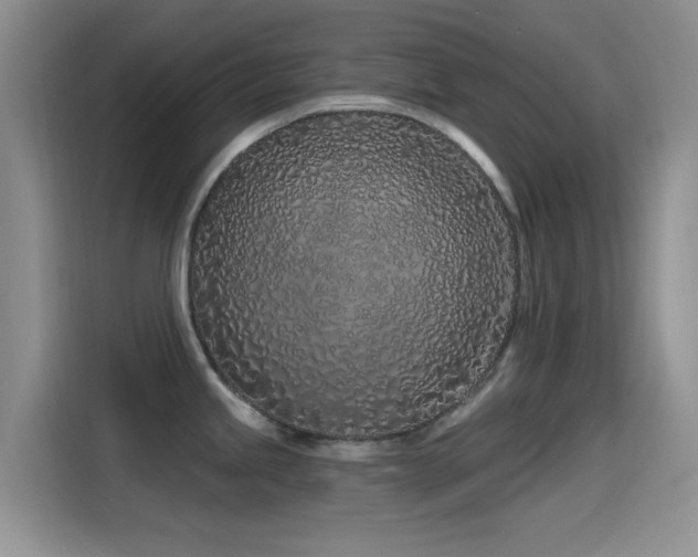 X0000115521245200911061411