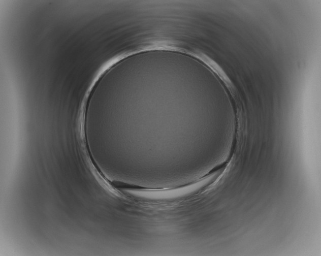 X0000115521246200911061411