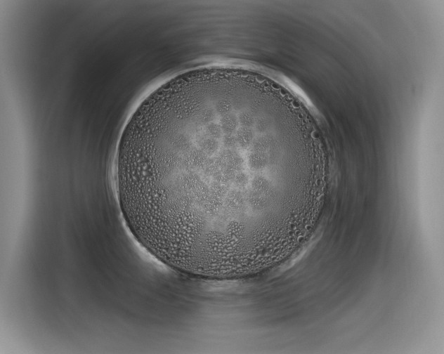 X0000115521247200911061411