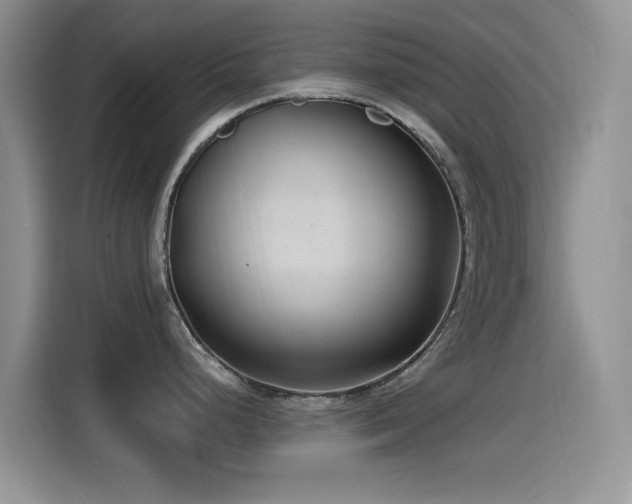 X0000115521248200911061411