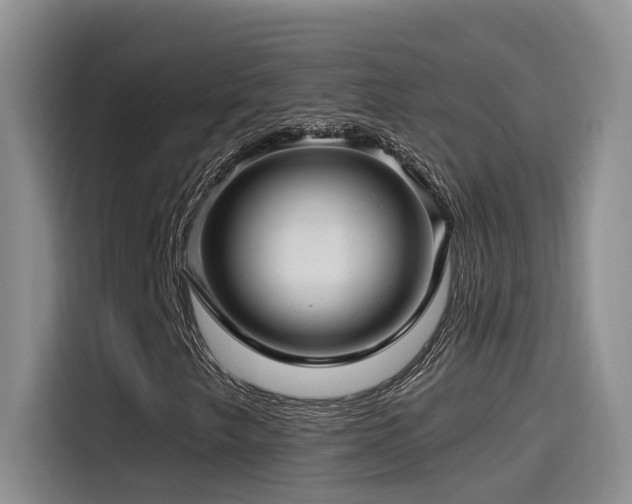X0000115521249200911061410