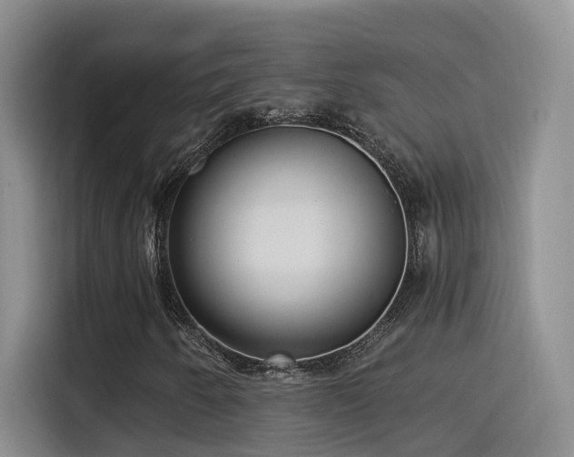 X0000115521250200911061410