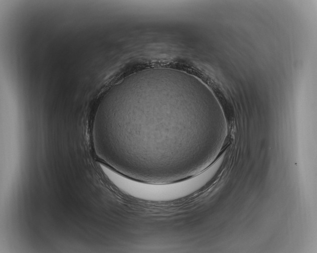 X0000115521252200911061410