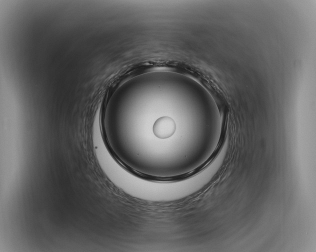 X0000115521253200911061410