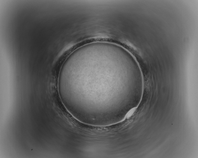 X0000115521255200911061410