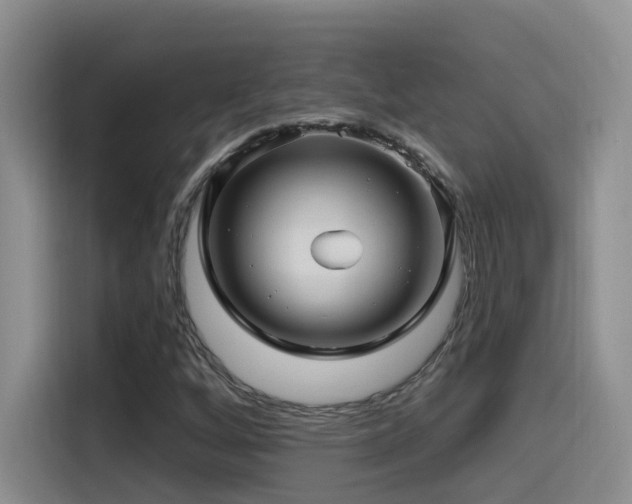 X0000115521256200911061410