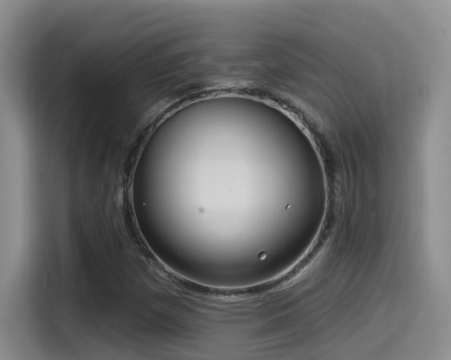 X0000115521257200911061410