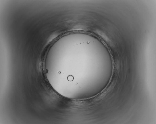 X0000115521258200911061410