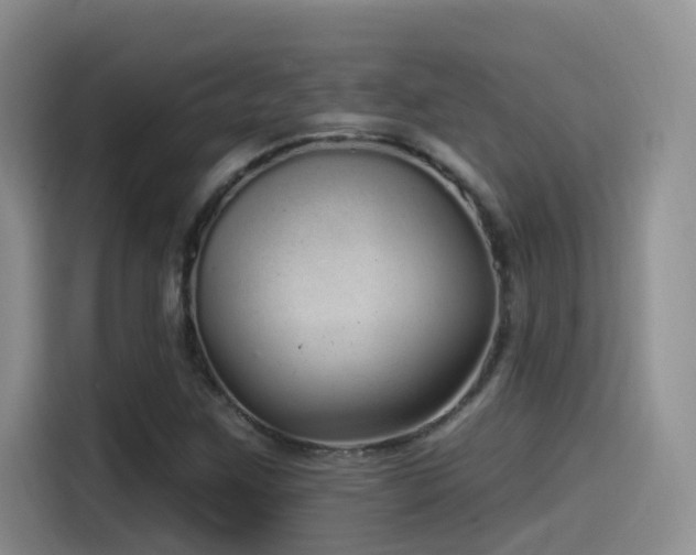 X0000115521259200911061410