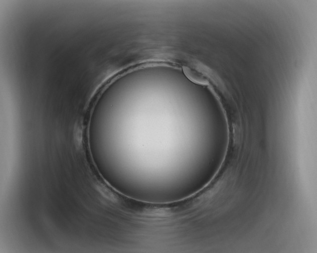 X0000115521260200911061410