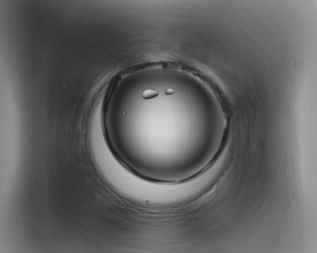 X0000115521261200911061410