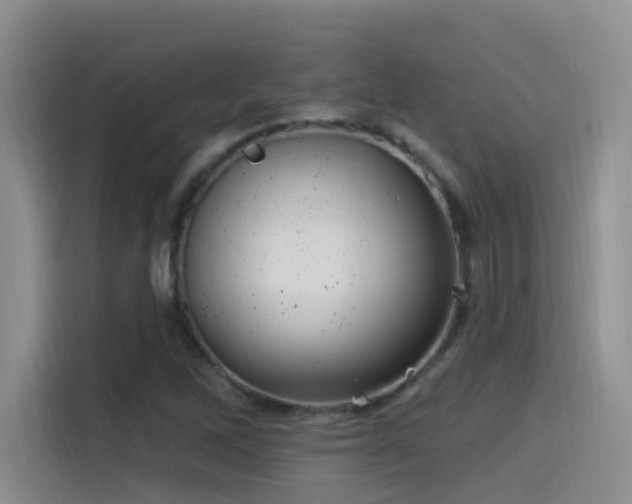 X0000115521262200911061410