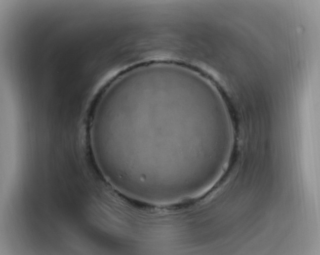 X0000115521263200911061410