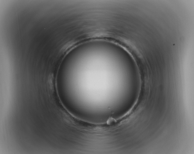 X0000115521265200911061410