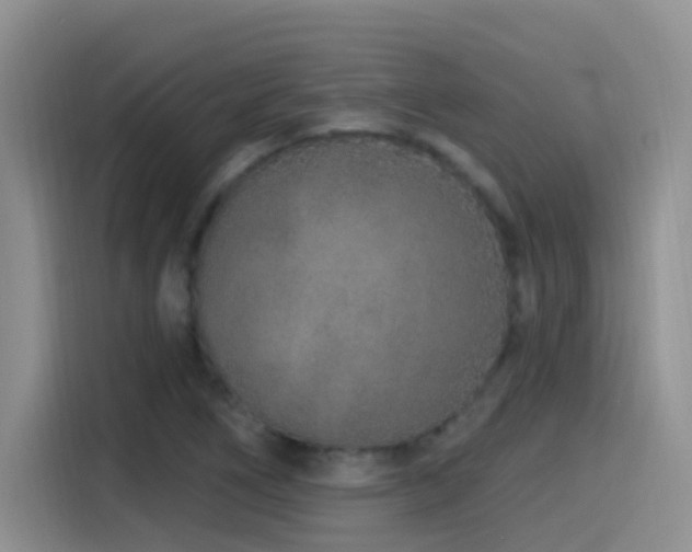 X0000115521266200911061410
