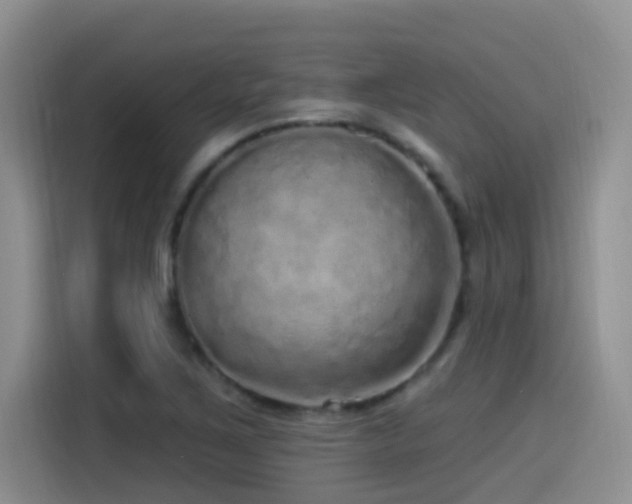 X0000115521267200911061410