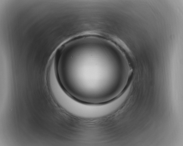 X0000115521268200911061410