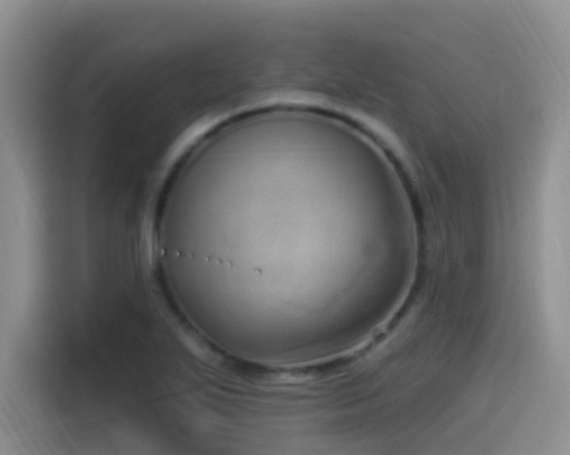X0000115521271200911061410