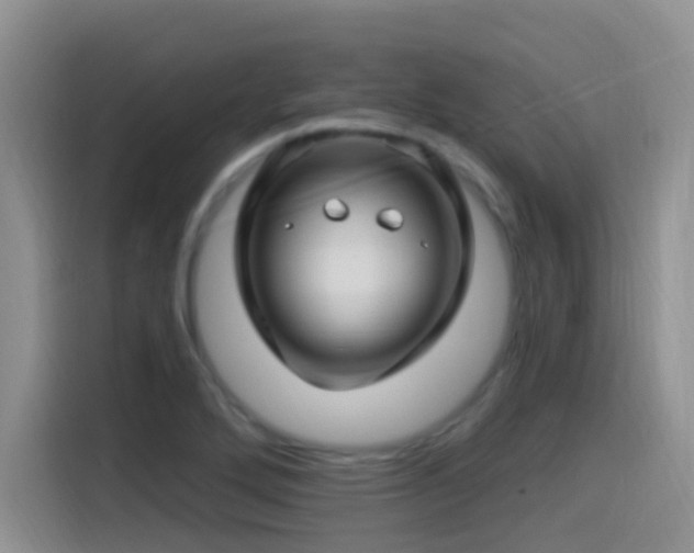 X0000115521272200911061410