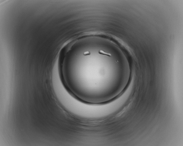 X0000115521273200911061410