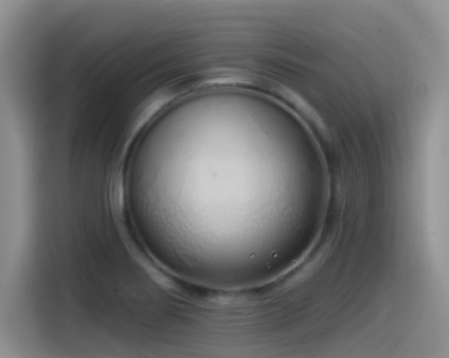 X0000115521274200911061410