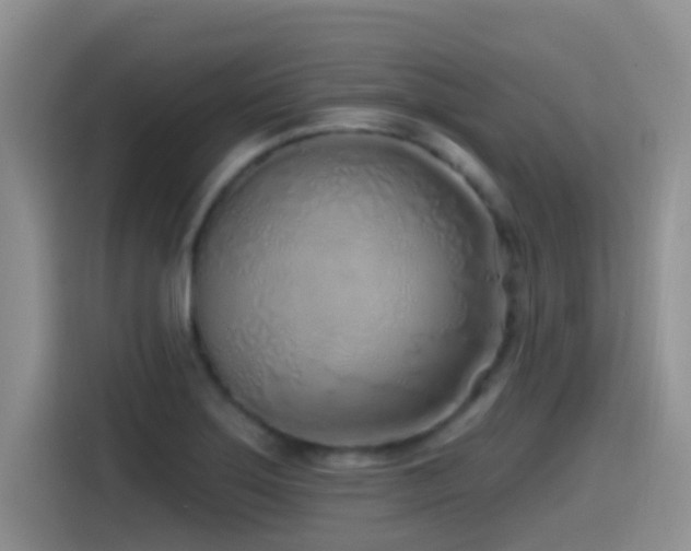 X0000115521275200911061410