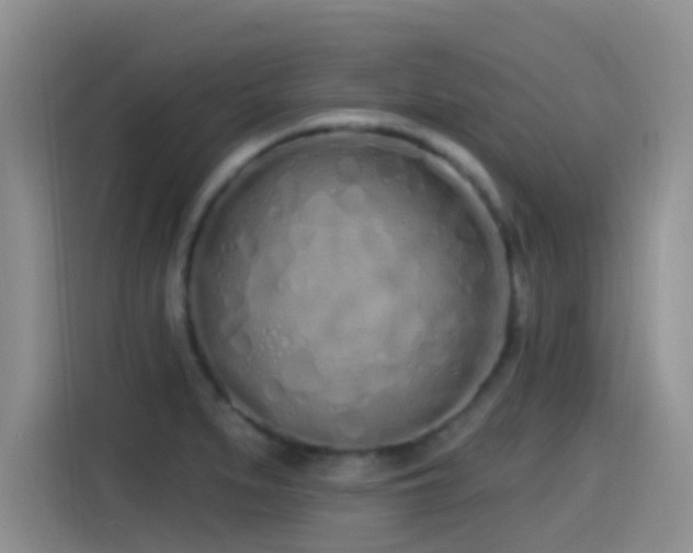 X0000115521279200911061410
