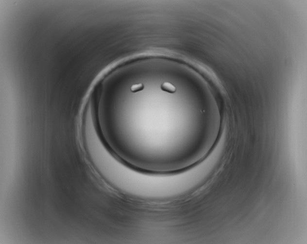 X0000115521280200911061410