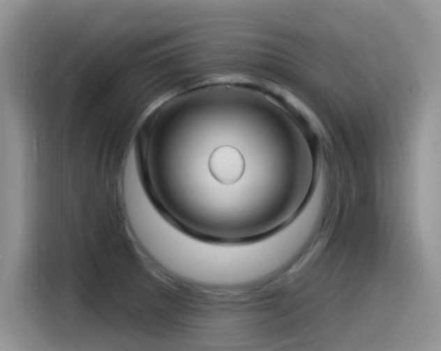 X0000115521281200911061410