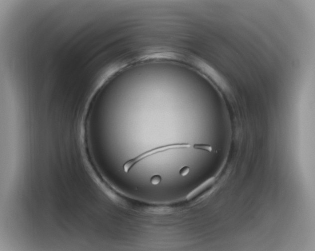 X0000115521282200911061410