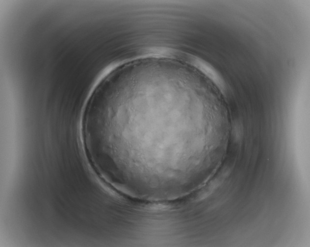X0000115521283200911061410