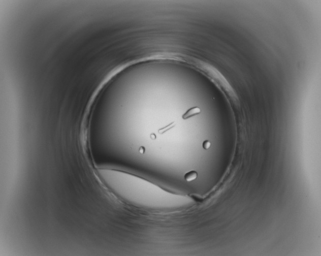 X0000115521284200911061410