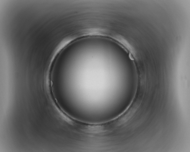X0000115521285200911061410