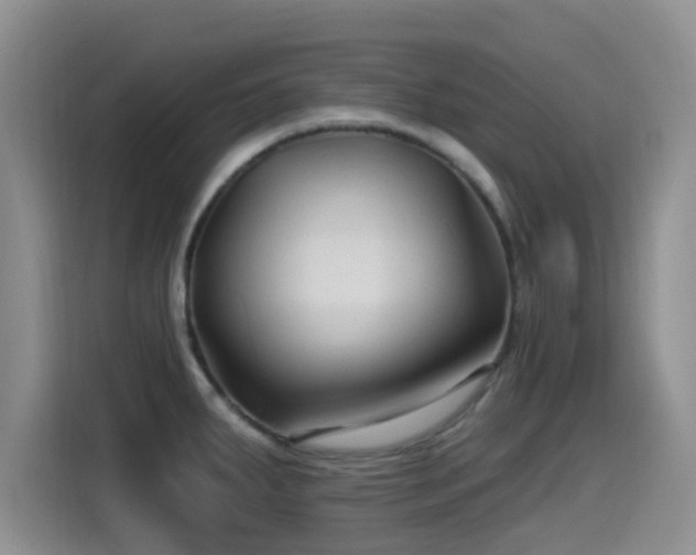 X0000115521287200911061410