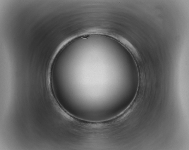 X0000115521288200911061410