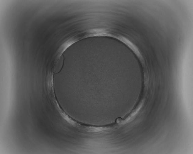 X0000115521289200911061410